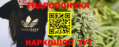 МДПВ Славянск-на-Кубани