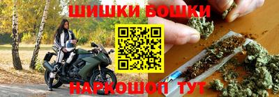МДПВ Сланцы